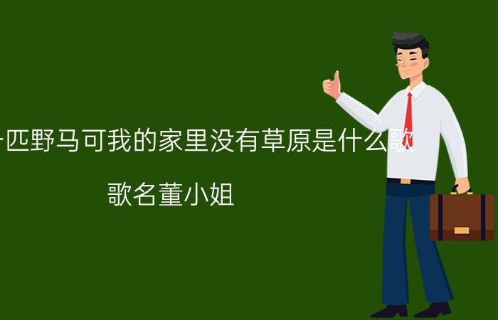 爱上一匹野马可我的家里没有草原是什么歌 歌名董小姐